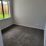 Rent 4 bedroom house in Tauranga