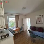 Rent 2 bedroom apartment in Trhový Štěpánov