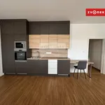 Rent 1 bedroom house in Přerov