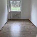 Rent 4 bedroom apartment of 75 m² in Siegen