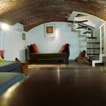 Rent 1 bedroom apartment of 63 m² in milan