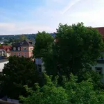 Rent 1 bedroom apartment of 49 m² in Dresden