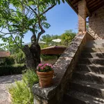 Rent 8 bedroom apartment of 185 m² in Cortona