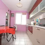 Rent 2 bedroom apartment of 54 m² in Timișoara