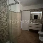 Rent 3 bedroom apartment of 80 m² in Frosinone