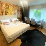 Rent 1 bedroom apartment of 31 m² in Freiburg im Breisgau