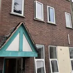 Rent 1 bedroom apartment in West Midlands