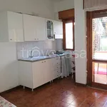 Rent 2 bedroom apartment of 60 m² in Santa Maria del Cedro