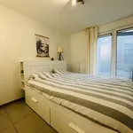 Rent 2 bedroom apartment in Wellin