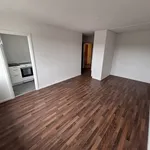 Rent 1 bedroom apartment of 28 m² in Ramnäs