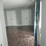 Rent 1 bedroom apartment in Norfolk