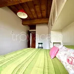 Rent 2 bedroom apartment of 50 m² in Vicopisano