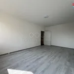 Rent 2 bedroom apartment of 58 m² in Karviná