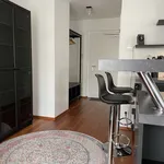 Rent 1 bedroom apartment of 53 m² in Vienna