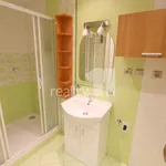 Rent 2 bedroom apartment of 47 m² in Rychnov nad Kněžnou