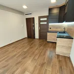 Rent 1 bedroom apartment of 20 m² in Nysa