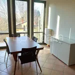 Rent 2 bedroom apartment of 46 m² in Lecco