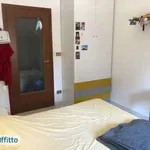 Rent 3 bedroom apartment of 75 m² in Turin