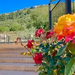 Wunderschönes neues Landhaus in einem sehr ruhigen Finca-Hotel mit Pool und Garten