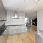 Rent 3 bedroom apartment of 120 m² in Hoog-Catharijne NS en Jaarbeurs