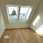 Abendsonne auf der Dachterrasse genießen - hübsche 2-Zimmer-Neubauwohnung in Hollabrunn / bezugsfertig / zentral / energieeffizient / leistbar