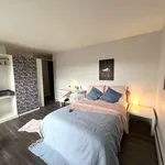 Rent 1 bedroom apartment in New Westminster