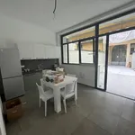 Rent 3 bedroom apartment of 77 m² in Turin