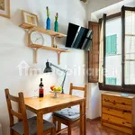 Rent 1 bedroom apartment of 18 m² in Florence