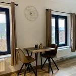 Rent 1 bedroom apartment of 30 m² in Namur