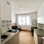 Rent 1 bedroom apartment of 15 m² in Krakow