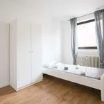 Rent a room in dusseldorf