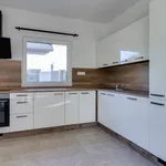 Rent 1 bedroom house in Praha - východ