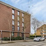 Rent 1 bedroom apartment in Leuven