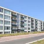 Rent 2 bedroom apartment of 30 m² in Wyckerpoort