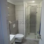 Rent 1 bedroom apartment of 36 m² in Brno