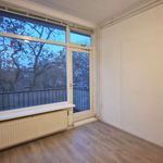 Rent 3 bedroom apartment of 60 m² in Rotterdam