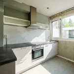 Rent 4 bedroom house of 110 m² in Lelystad