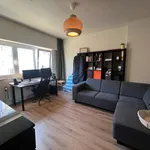 Rent 1 bedroom apartment in Leuven