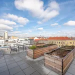 Rent 1 bedroom apartment of 54 m² in Wien