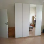 Rent 3 bedroom apartment of 70 m² in Bologna