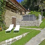 Rent 10 bedroom apartment of 240 m² in Cortona