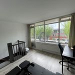 Huur 4 slaapkamer huis van 124 m² in Groningen