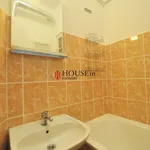 Rent 1 bedroom apartment of 43 m² in Praha