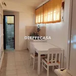 Affitto 2 camera casa di 40 m² in Marsala