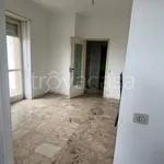 Rent 2 bedroom apartment of 50 m² in Torino