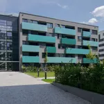 Pronajměte si 1 ložnic/e byt o rozloze 60 m² v Prague