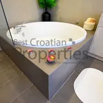 Rent 1 bedroom apartment of 130 m² in City of Zagreb