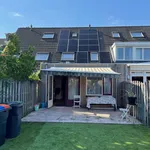 Rent 3 bedroom house of 100 m² in Tilburg