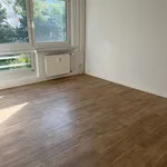 Rent 1 bedroom apartment of 26 m² in Dresden