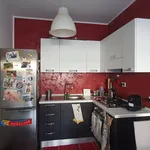 Rent 2 bedroom apartment of 50 m² in Viterbo